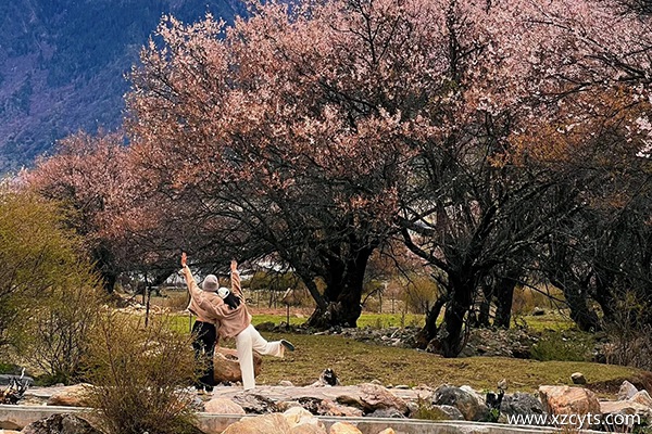 3月份贵阳到西藏旅游多少钱