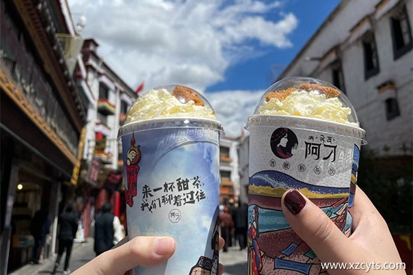双人出行西藏旅游7天6晚